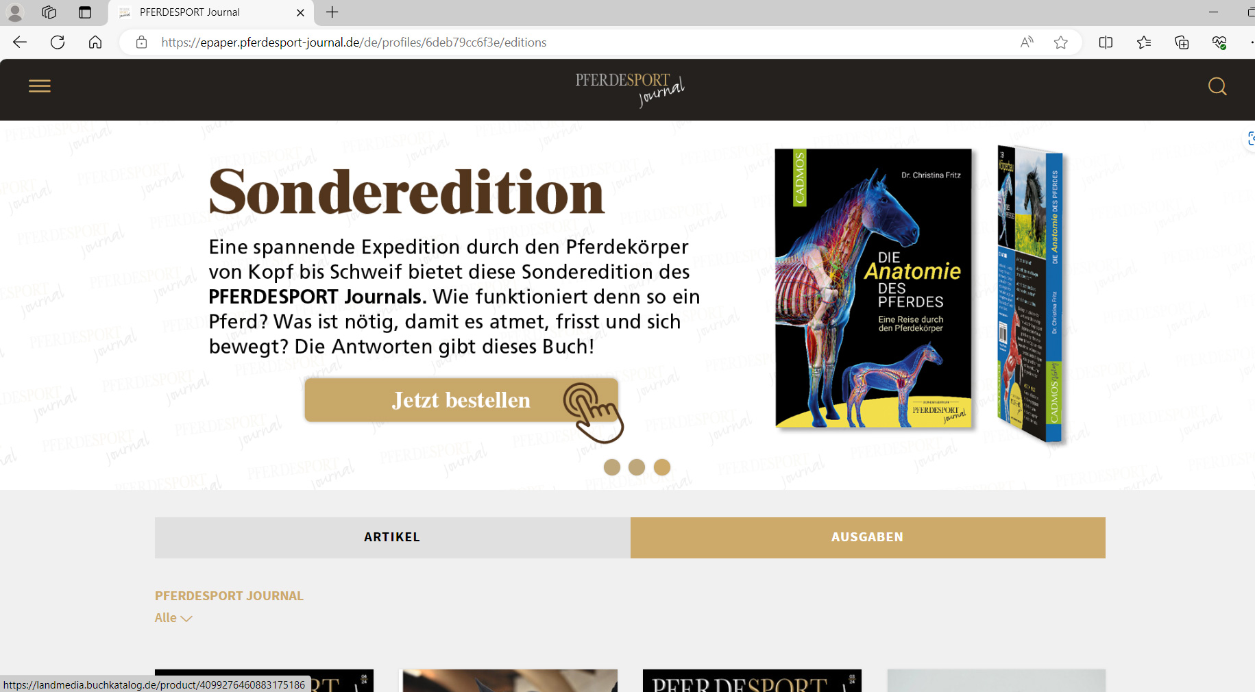 Banner im Header
