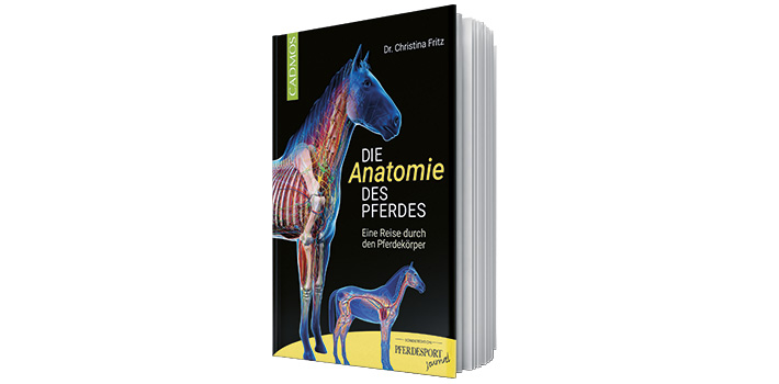 Die Anatomie des Pferdes – Eine Reise durch den Pferdekörper