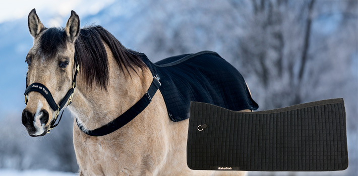 Rückenwärmer Royal